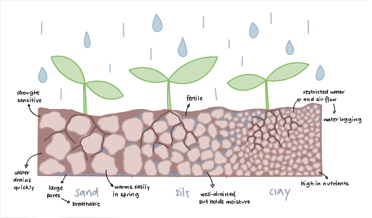 Clay soil