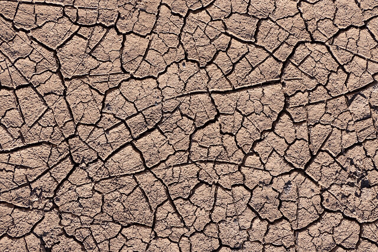 Cracked, drought-affected soil