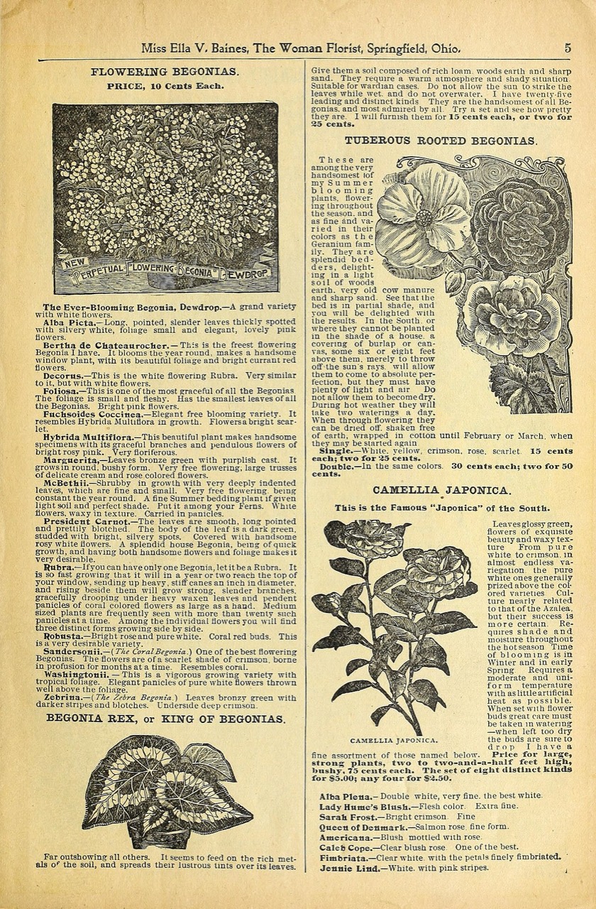 Loam soil