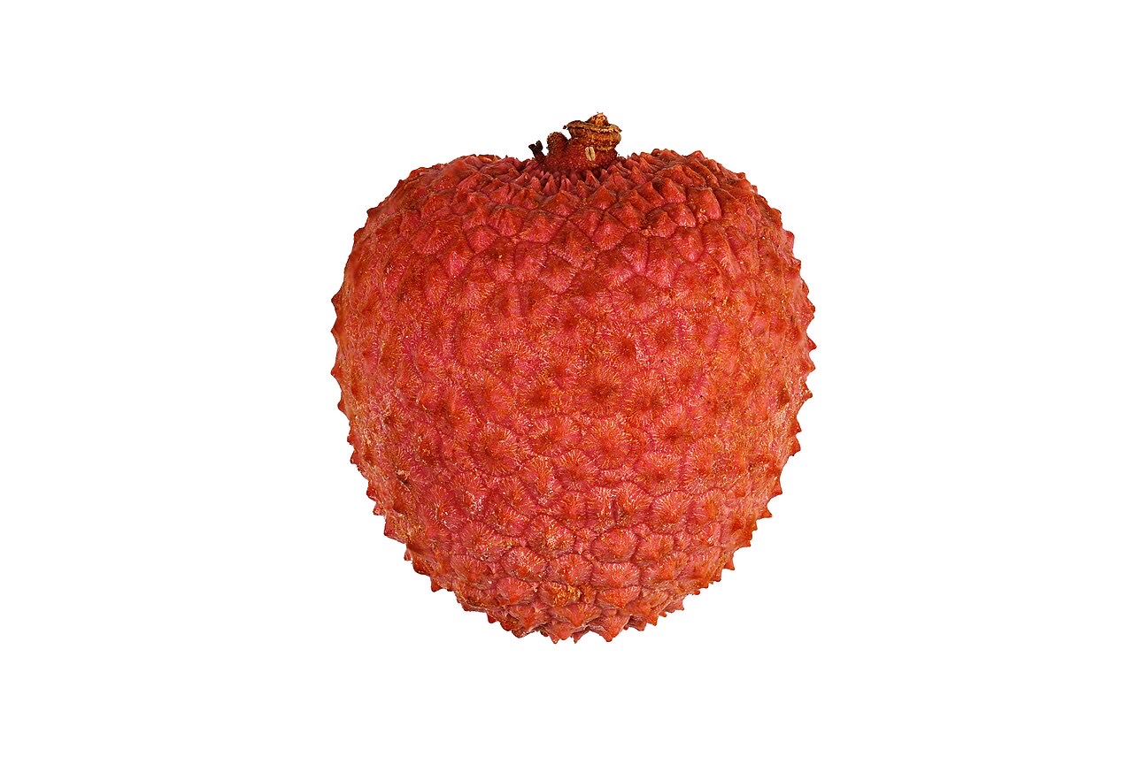 Lychees on a tree