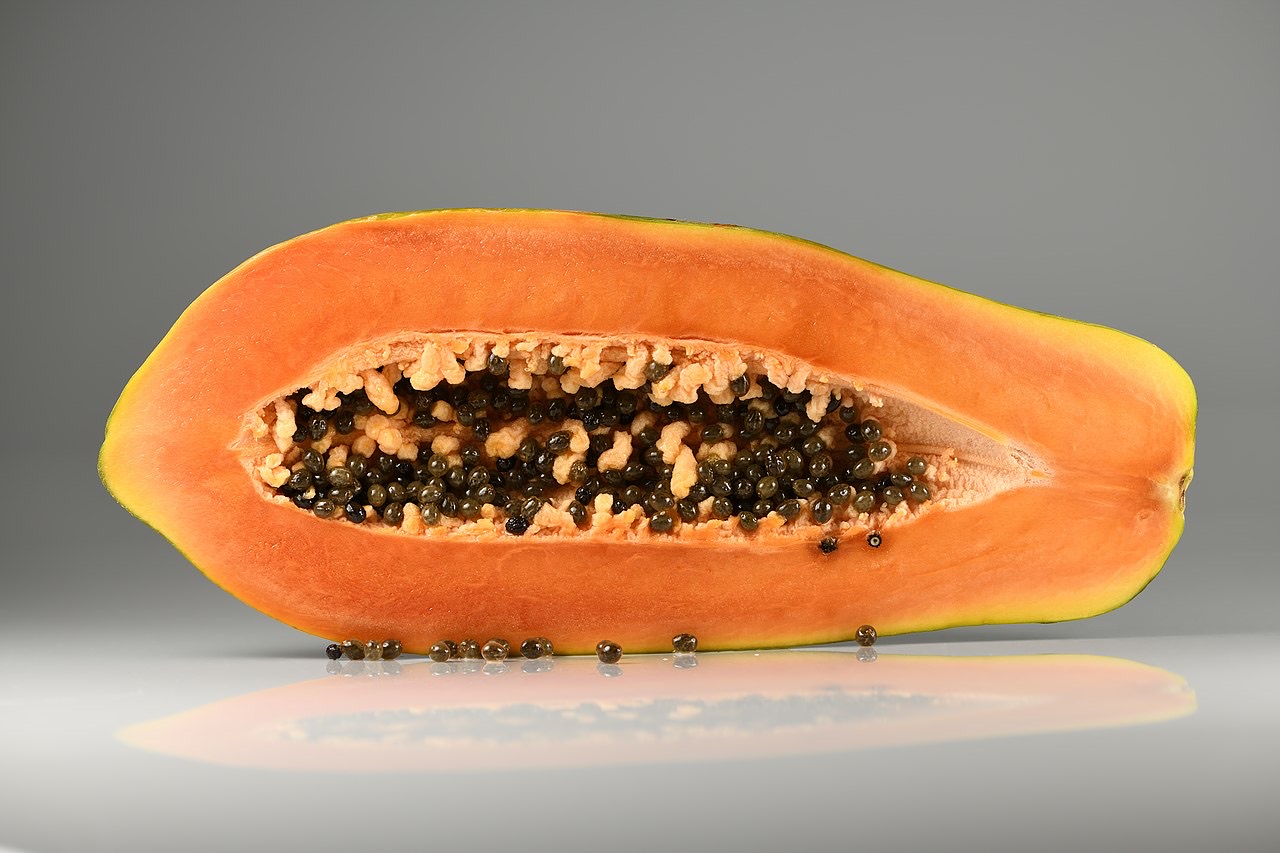 Papayas on a tree