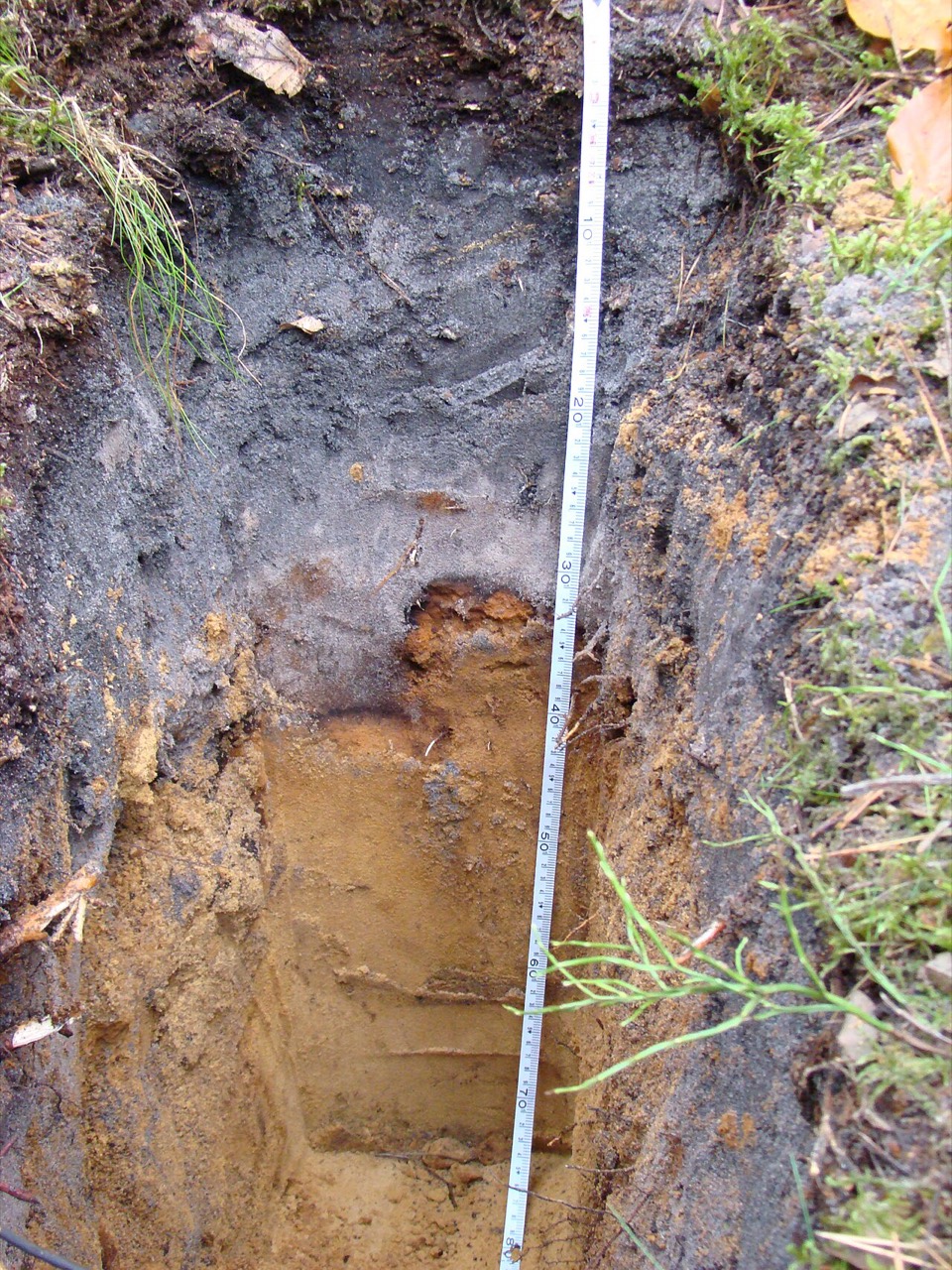 A podzol soil profile