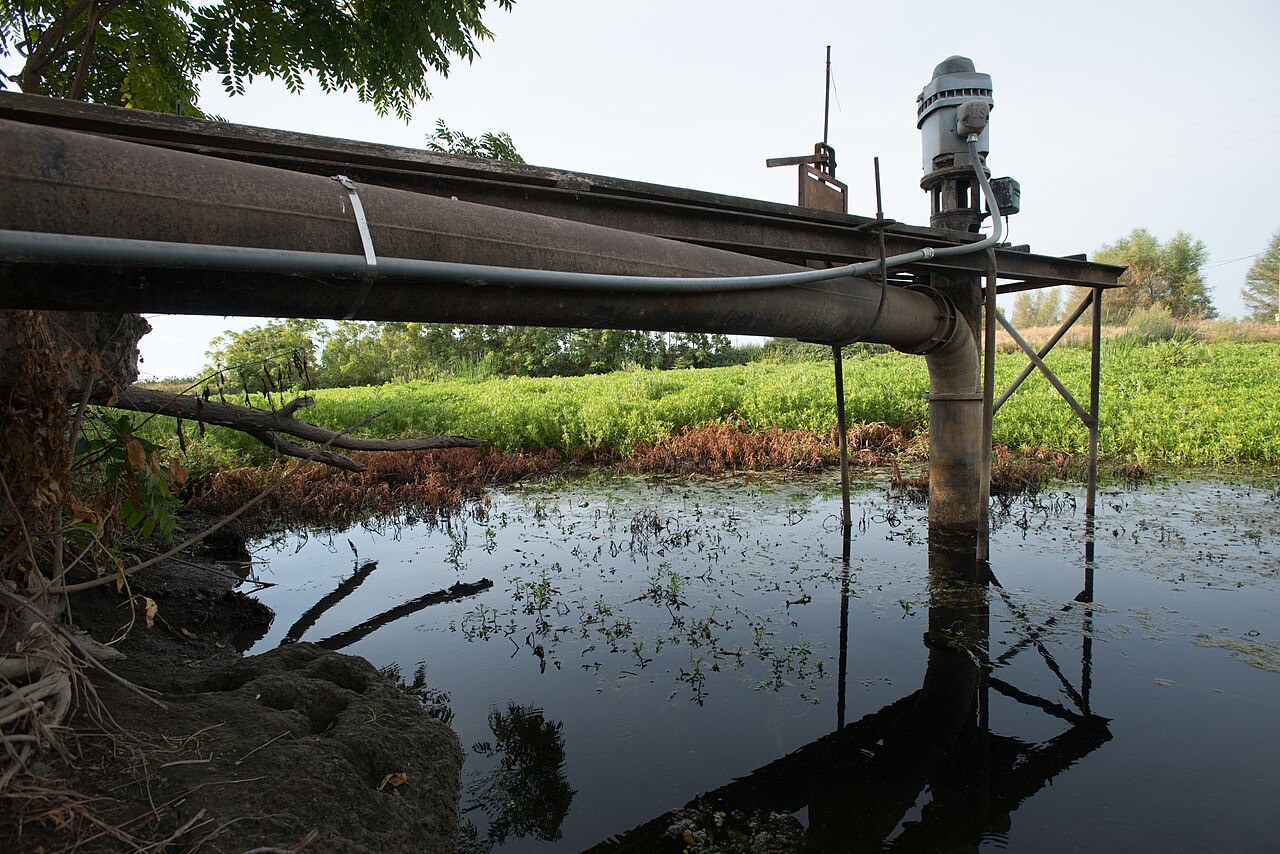Surface (flood) irrigation of a field